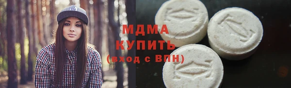 индика Гусев